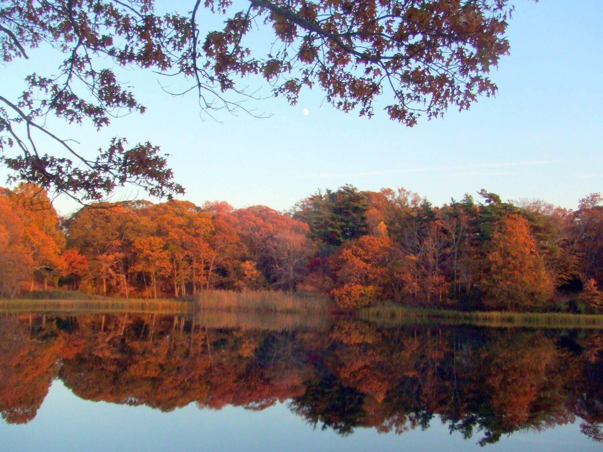 House On Chase Creek Bed & Breakfast Shelter Island Heights Eksteriør bilde