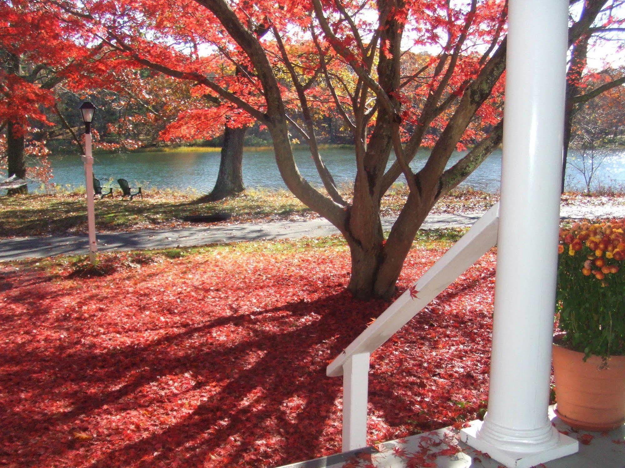 House On Chase Creek Bed & Breakfast Shelter Island Heights Eksteriør bilde